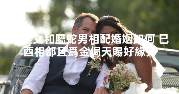 屬雞女和屬蛇男相配婚姻如何 巳酉相郃且爲金侷天賜好緣分